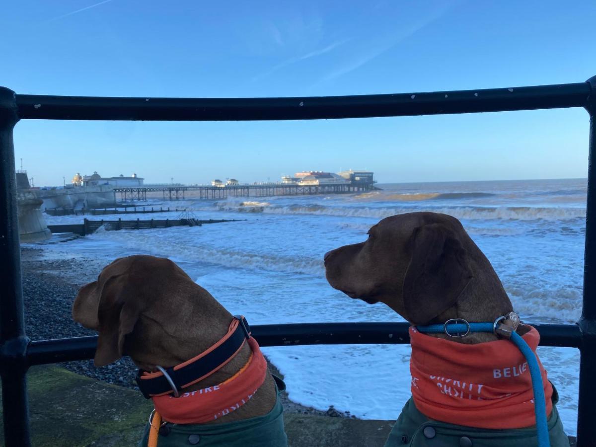 The Red Lion Hotel Cromer Exteriér fotografie Dogs at the pier